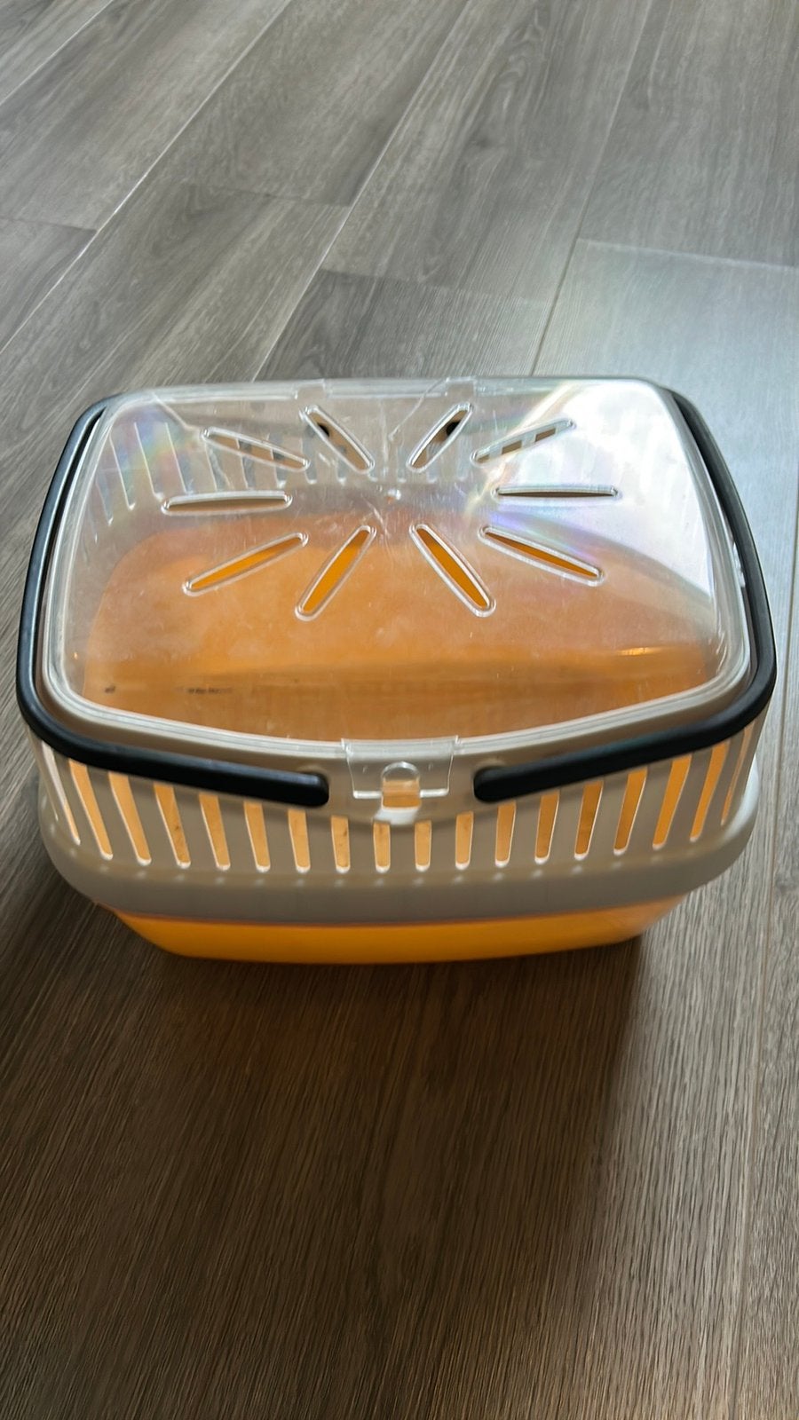 Vervoerskooitje knaagdier, Ophalen of Verzenden, Gebruikt, Transportkoffer of -box