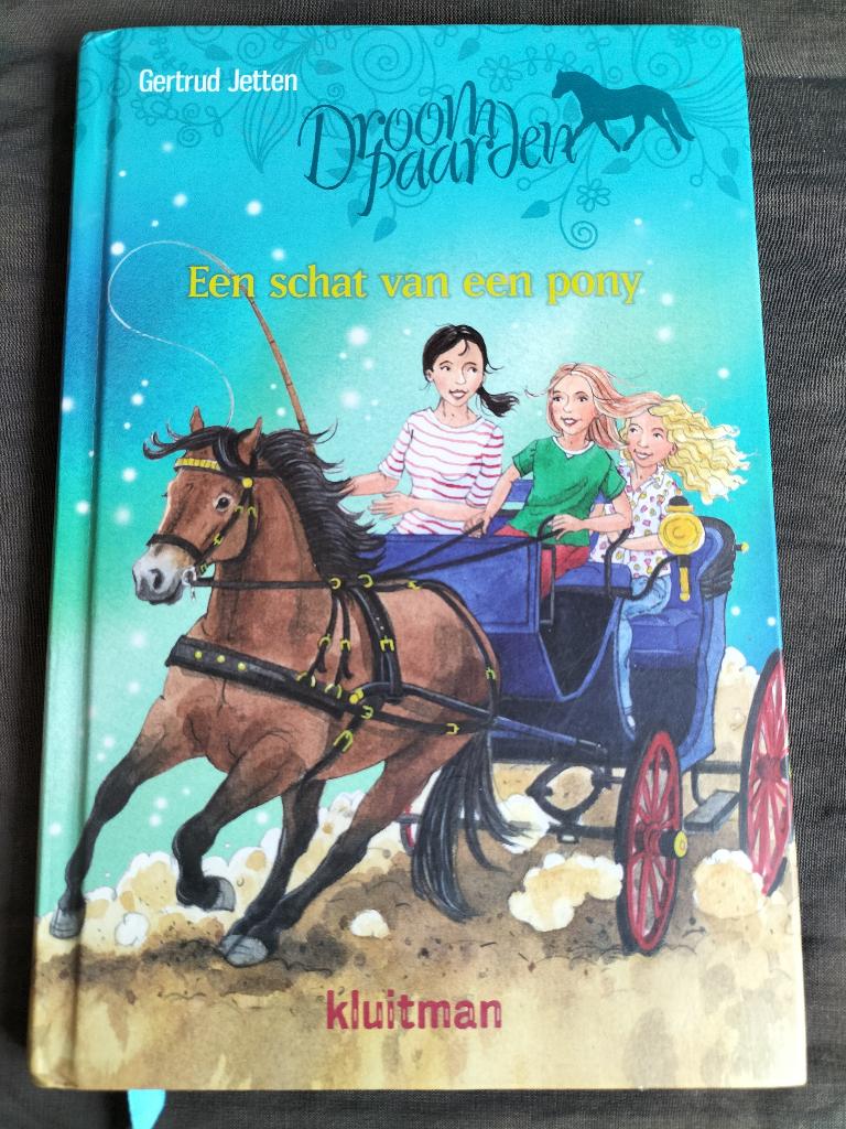 Gertrud Jetten - Droompaarden - Een schat van een pony, Ophalen of Verzenden, Zo goed als nieuw, Gertrud Jetten, Fictie algemeen
