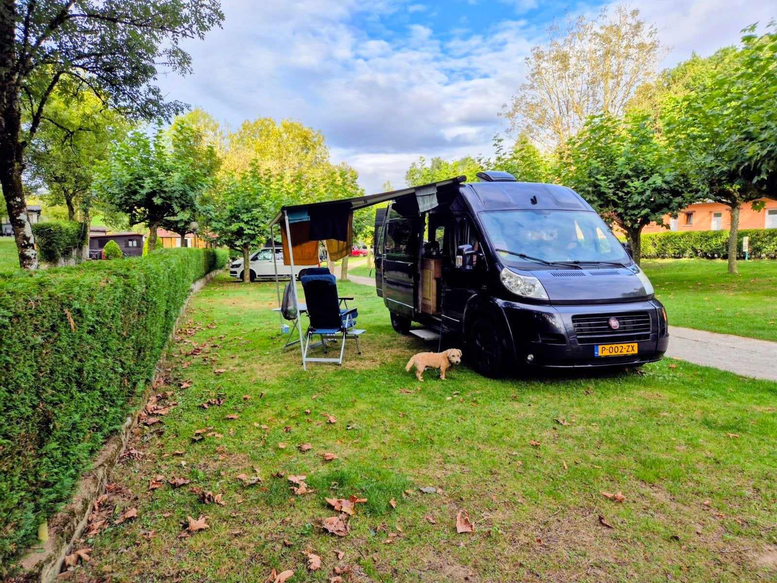 Buscamper Ducato compact/ perfecte conditie / weinig km, ABS, Fiat, Tot en met 2, Particulier