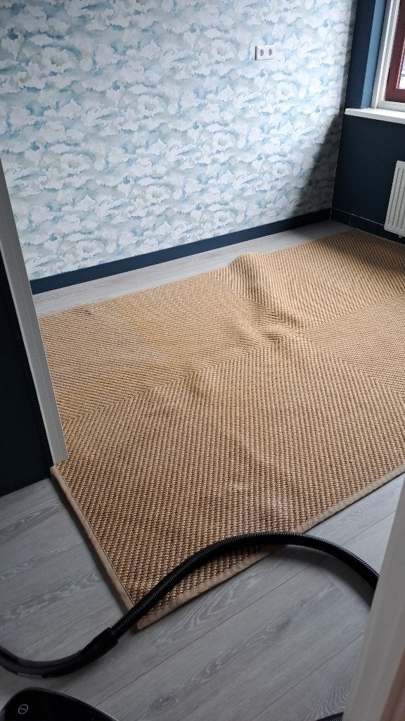 Vloerkleed (2x3m), Ophalen, Gebruikt, 200 cm of meer, Rechthoekig