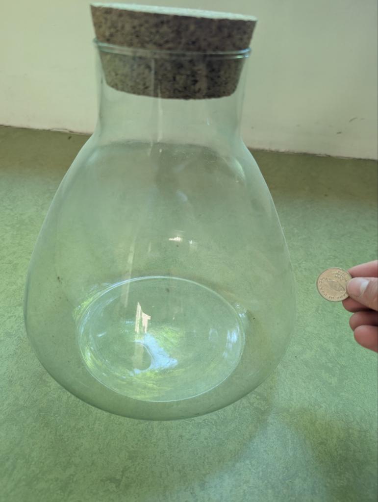 Grote glazen (terrarium)pot met kurk, Ophalen, Zo goed als nieuw