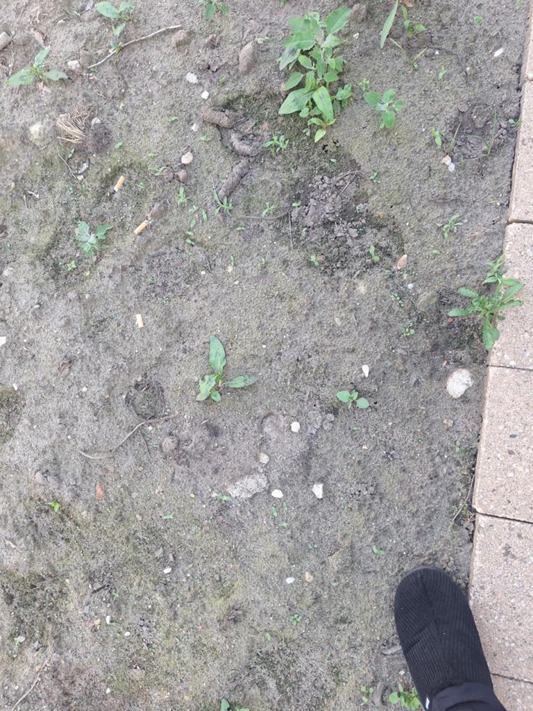 Zwarte grond gezocht, Ophalen of Verzenden