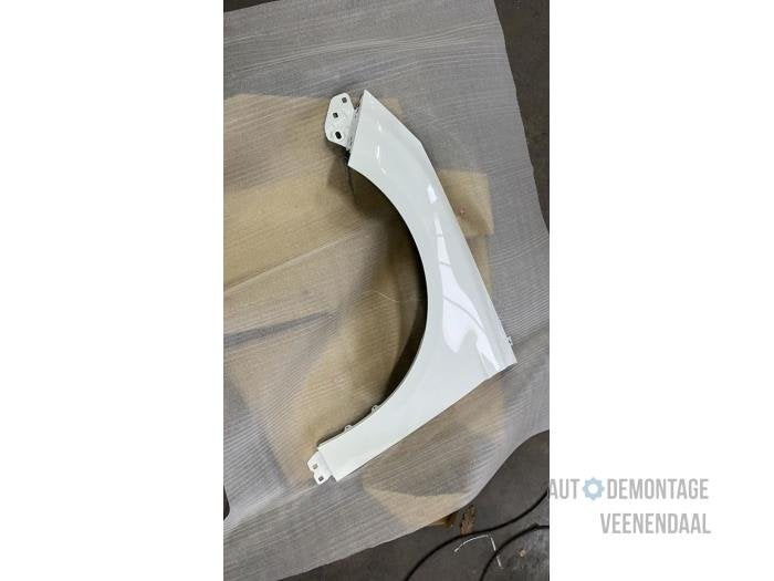 Scherm links-voor van een Ford Focus (FROZEN), -, -, Nieuw, Ophalen of Verzenden