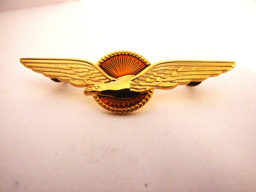 Embleem,Badge,Wing,Piloot,Koninklijke,Luchtmacht, Verzenden, Luchtmacht, Nederland, Embleem of Badge