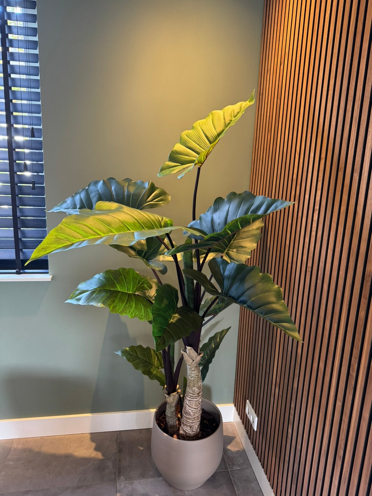 Kunstplant Calocasia 180 cm easyplants NIEUW, Groen, Kunstplant, Nieuw, Kunststof