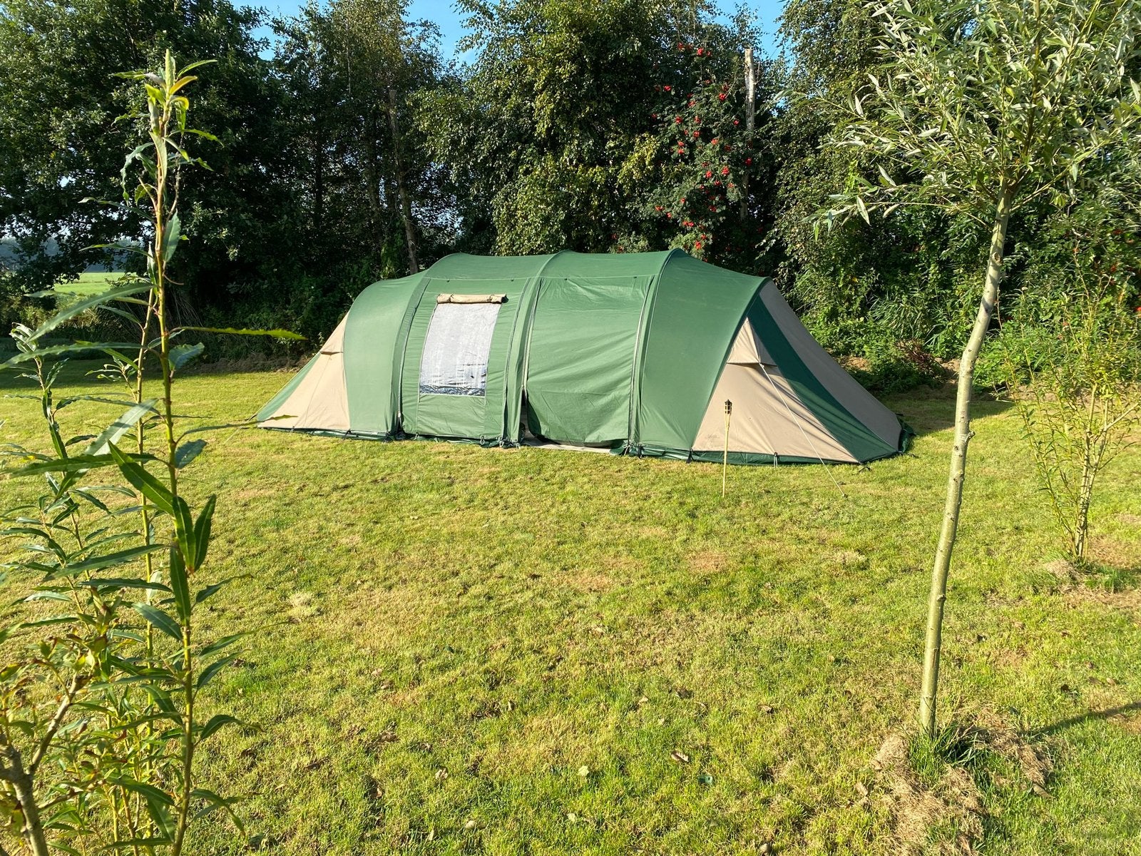 Grote gezinstent Falco Zeearend, Caravans en Kamperen, Tenten, Ophalen, Gebruikt