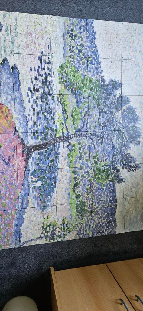 Grote mozaïek wanddecoratie, puntjesstijl, Gebruikt, Overige typen, 125 cm of meer, Ophalen of Verzenden