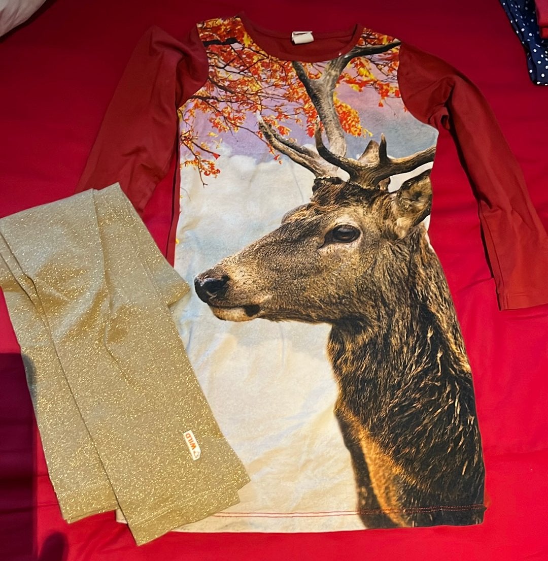 Set jurk met hert en gouden glitter legging van Wild maat110, Ophalen of Verzenden, Zo goed als nieuw, Meisje, Setje
