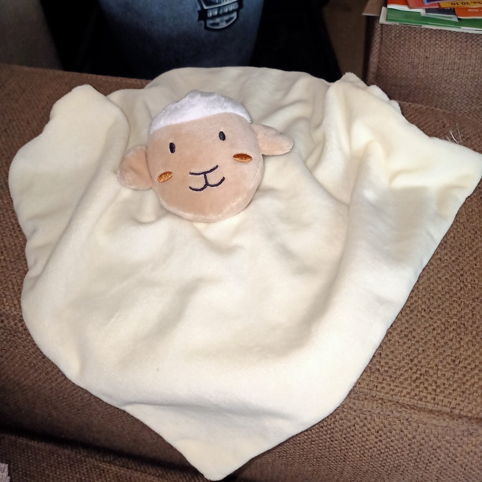 Made for mini's, cuddle cloth, schapenkop kroeldoek., Ophalen of Verzenden, Zo goed als nieuw, Middelgroot (20 tot 80 cm), Primark