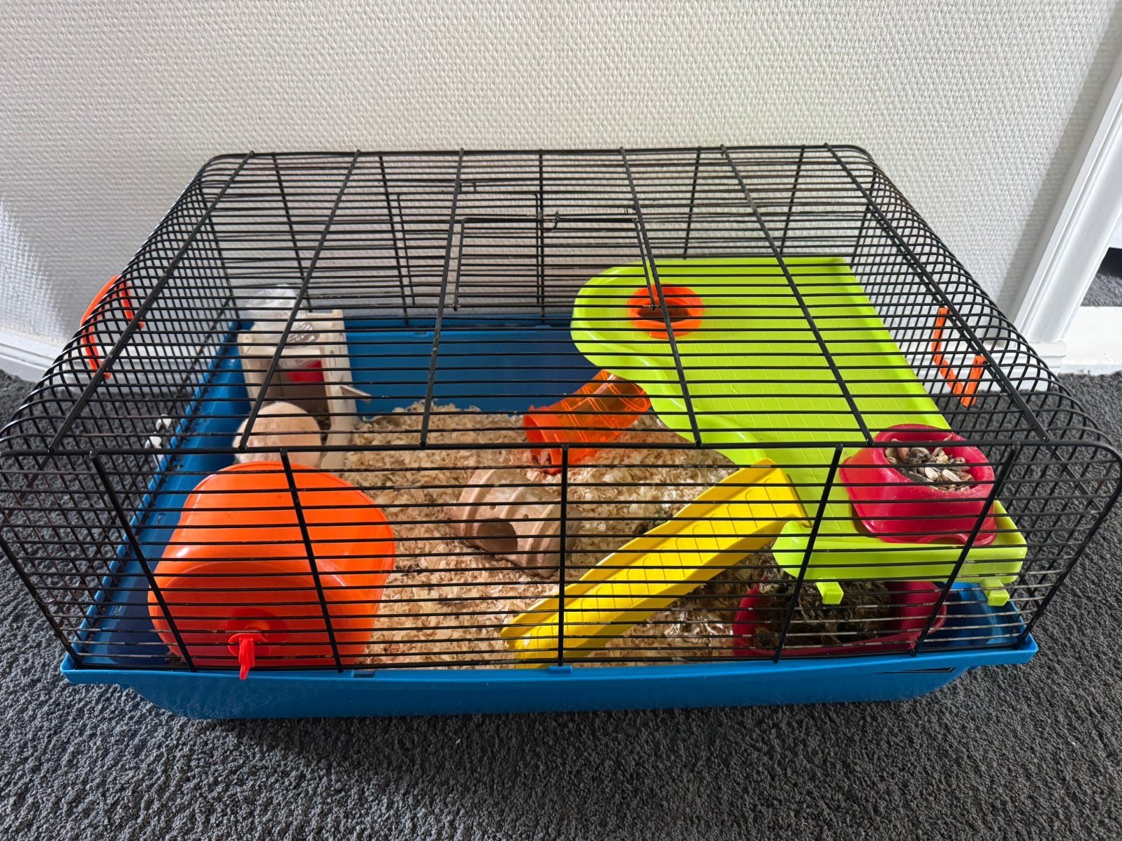 Hamster kooi met toebehoren, Kooi, Gebruikt, Minder dan 75 cm, Hamster