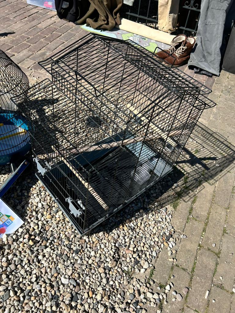 Grote vogelkooi, Ophalen, Zo goed als nieuw, Metaal, Vogelkooi