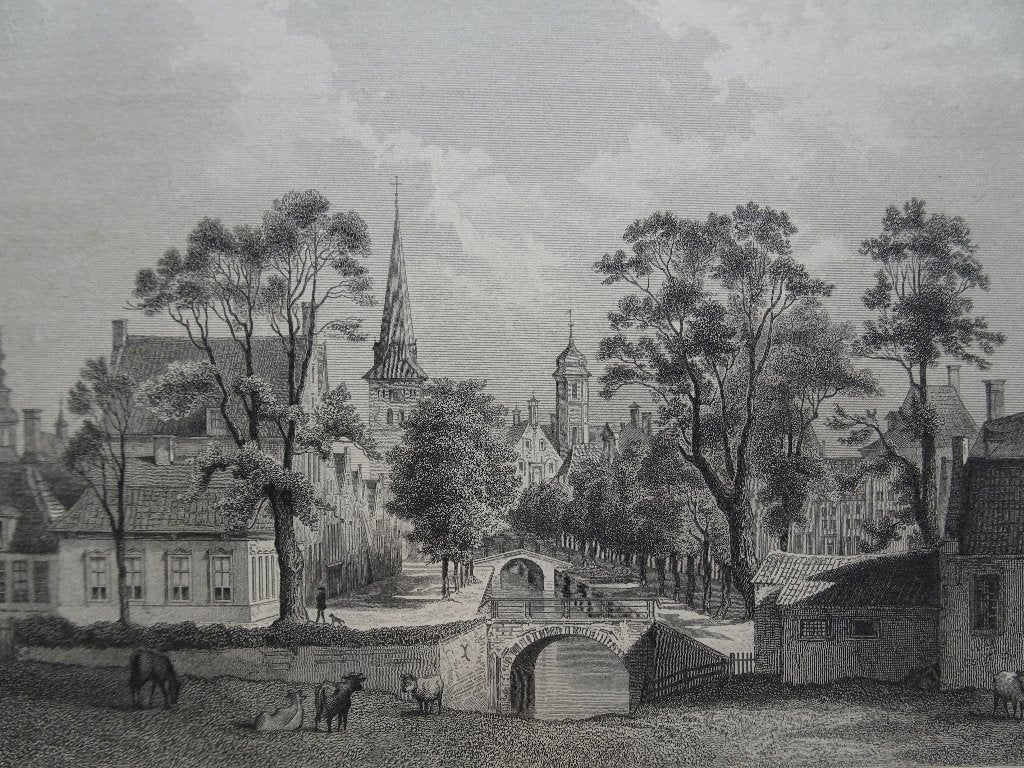 staalgravure zicht op Franeker met kerk, JG Riegel 1858, Antiek en Kunst, 1800 - 1899, Verzenden, Stadsgezicht, Gravure