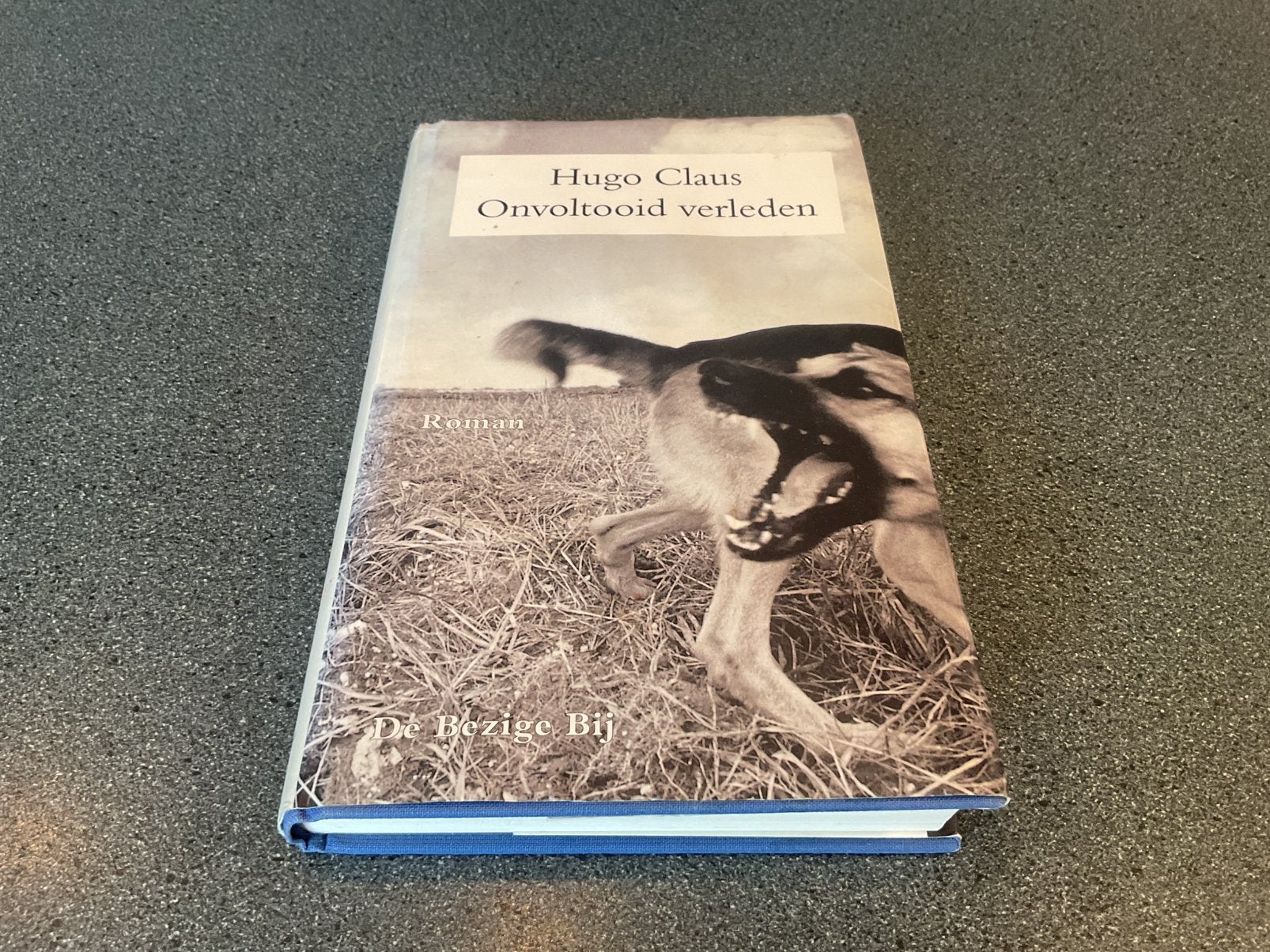 Hugo Claus - Onvoltooid verleden, Boeken, Ophalen of Verzenden, Gelezen