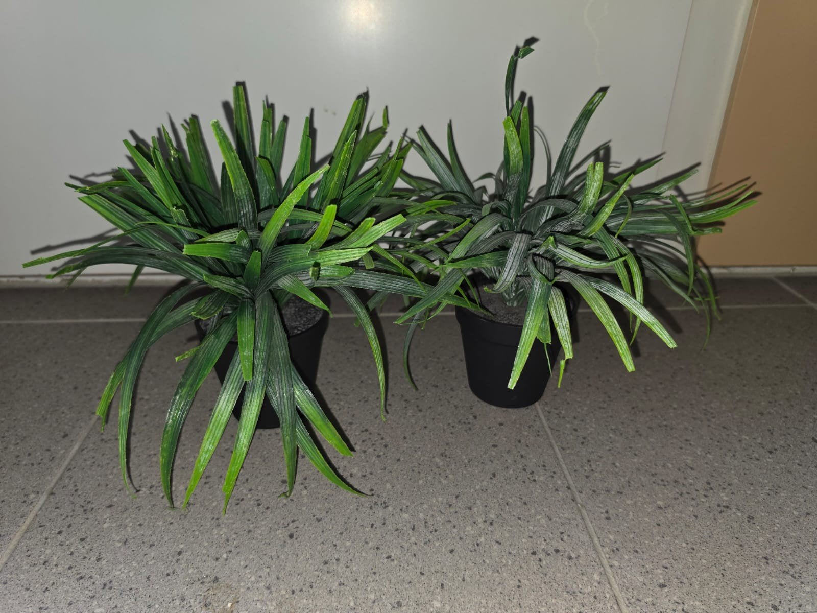 kunstplanten, Ophalen of Verzenden, Halfschaduw, Minder dan 100 cm