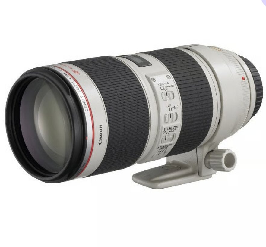 Canon EF 70-200 f/2.8 L IS USM, Gebruikt, Canon, Beschermhoes/tas, 200 mm