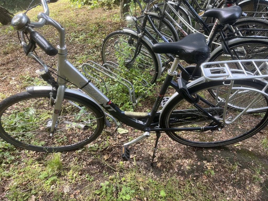 damesfiets, Fietsen en Brommers, Fietsen | Dames | Damesfietsen, Versnellingen, Trommelrem, 53 tot 56 cm, Gebruikt