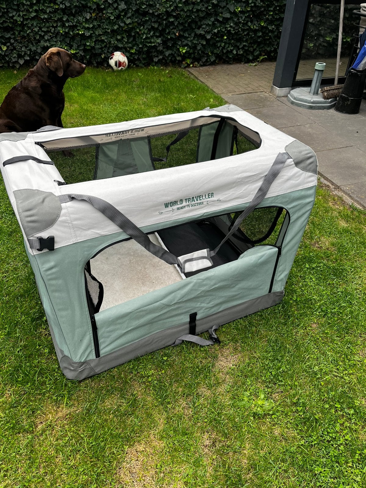 Beeztees - Honden Reisbench - groen - 63x63x91 cm - XL, Ophalen, Zo goed als nieuw