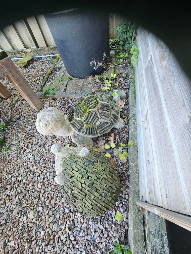 Te koop een schildpad en egel opgebouwd van beton., Mannelijk, Kalkoen