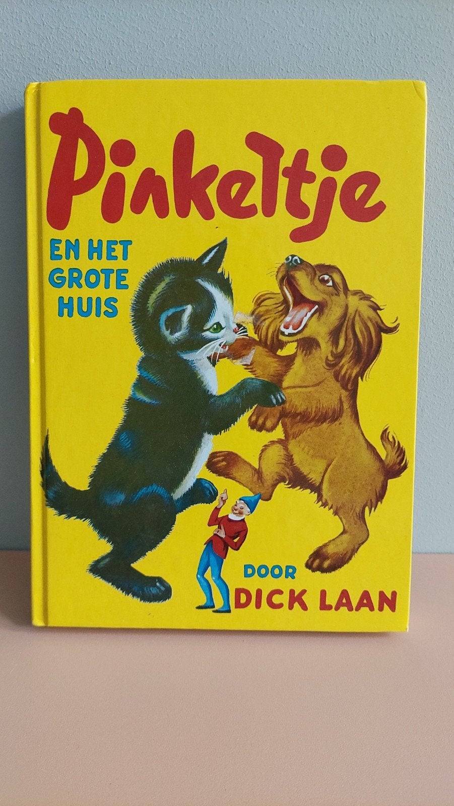 Pinkeltje en het Grote Huis - Dick Laan, Ophalen of Verzenden, Gelezen, Dick Laan, Fictie algemeen