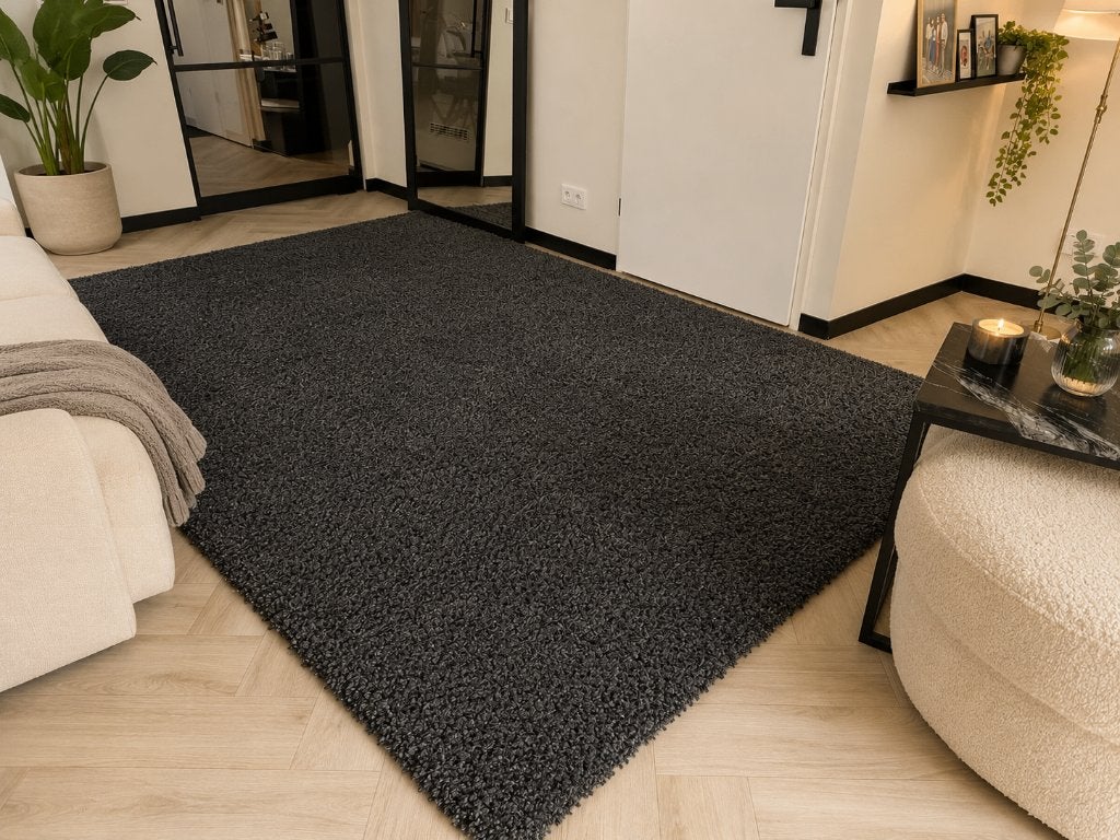 Vloerkleed Antraciet 200x300 cm Brinker Rabat, Ophalen, Zwart, 200 cm of meer, Zo goed als nieuw