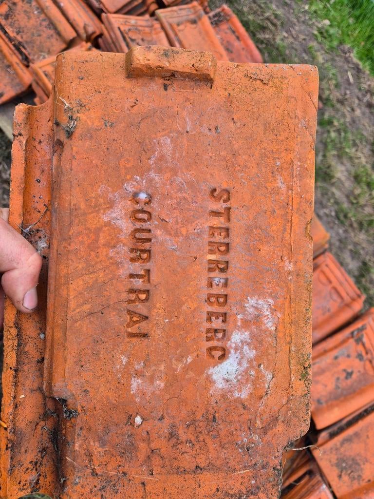 Gebruikte dakpannen Sterreberg Courtrai, Doe-het-zelf en Verbouw, Dakpannen en Dakbedekking, Ophalen, Gebruikt, Steen of Klei