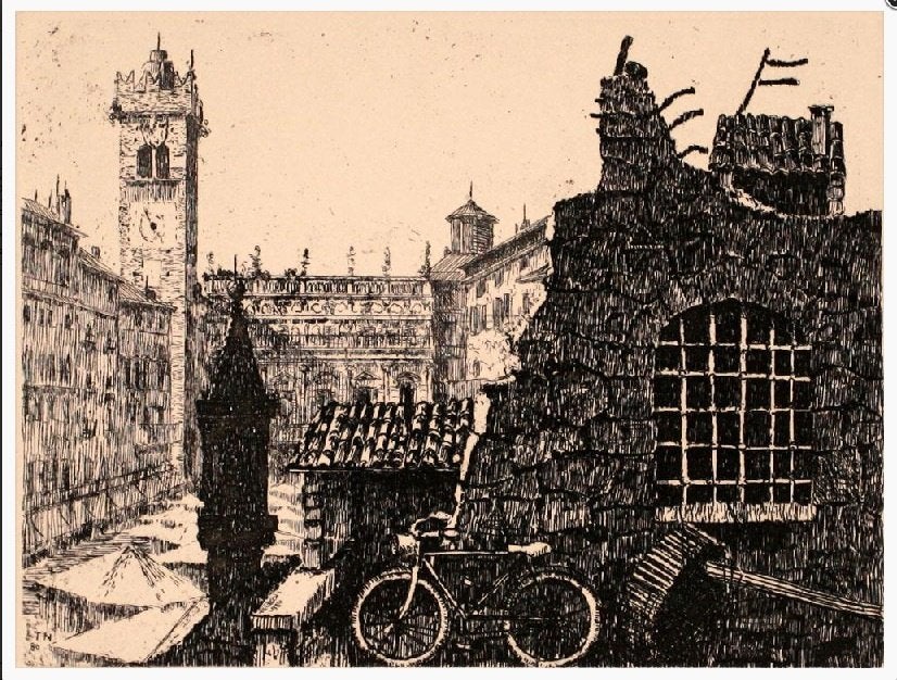 Verona getekend / Verona in pictures !! / Italië, Ophalen of Verzenden, Zo goed als nieuw, Schilder- en Tekenkunst