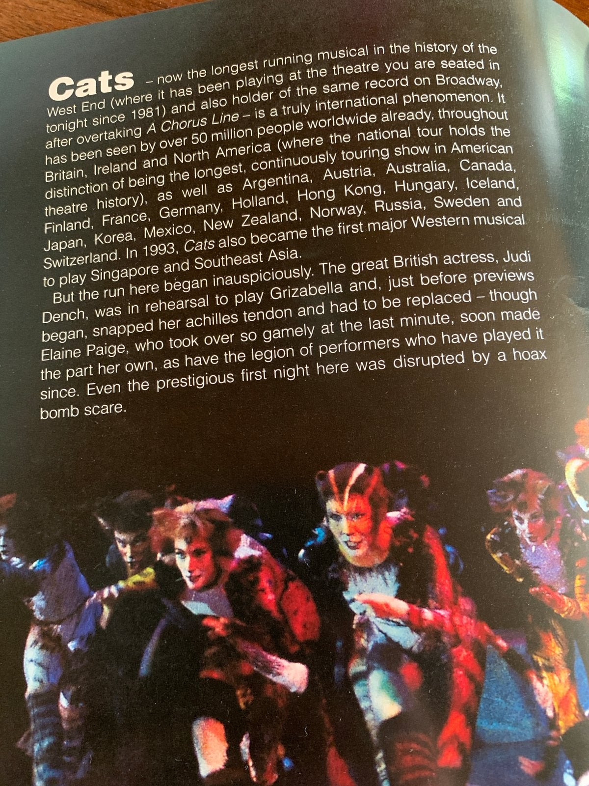 Brochure musical Cats 1989, Ophalen of Verzenden, Gelezen, Catalogus