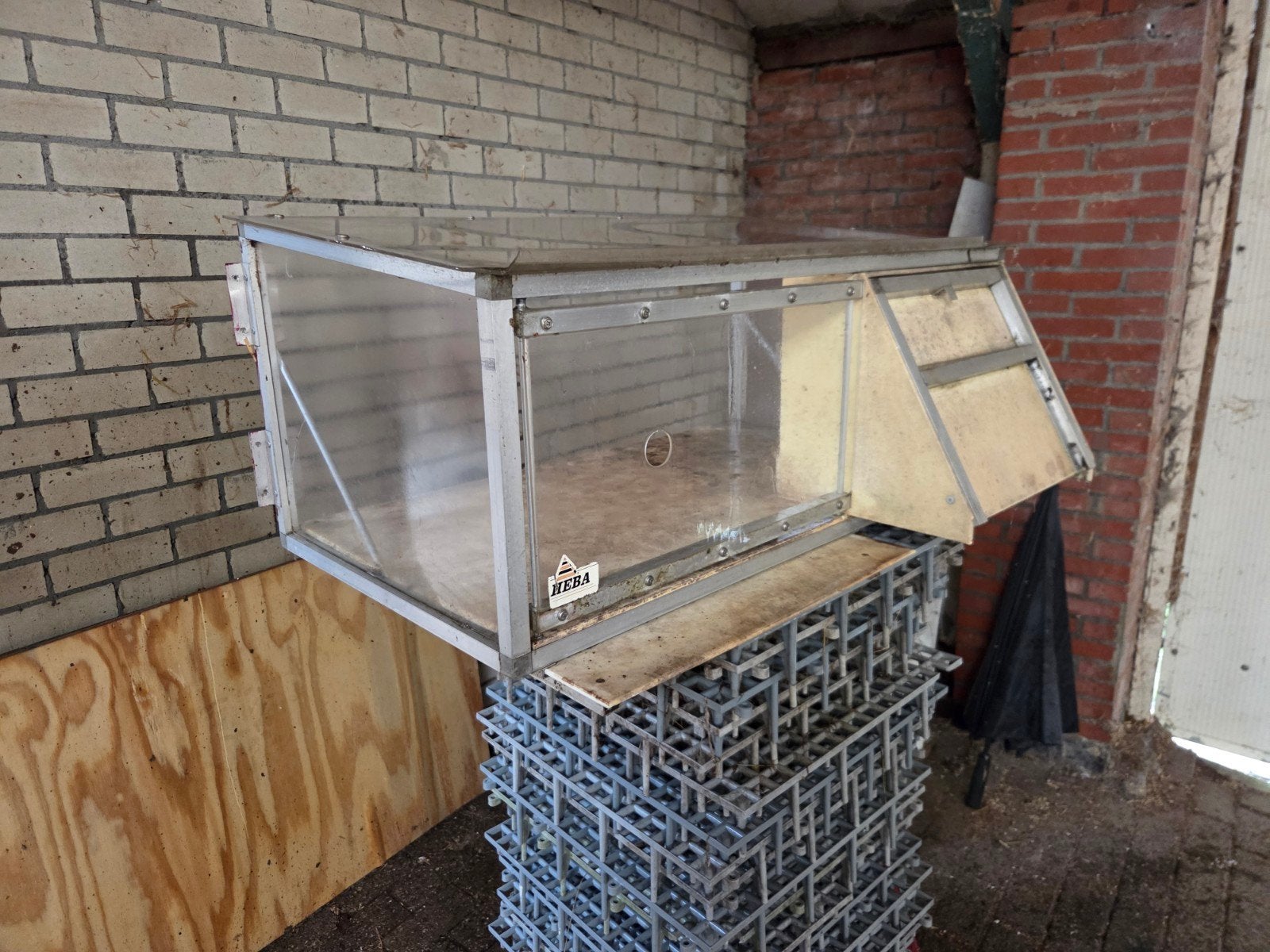 Spoetnik Postduiven, Dieren en Toebehoren, Vogels | Duiven, Meerdere dieren, Postduif