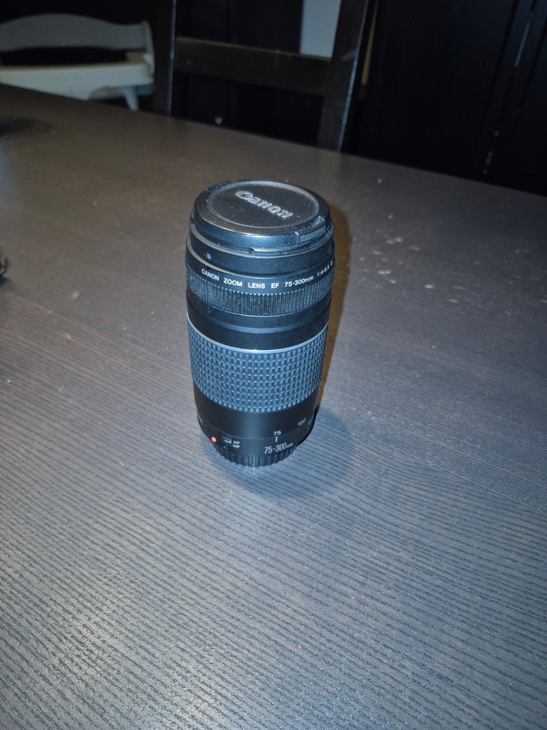 Canon EF 75-300mm-telelens, Ophalen, Gebruikt, Canon, Telelens