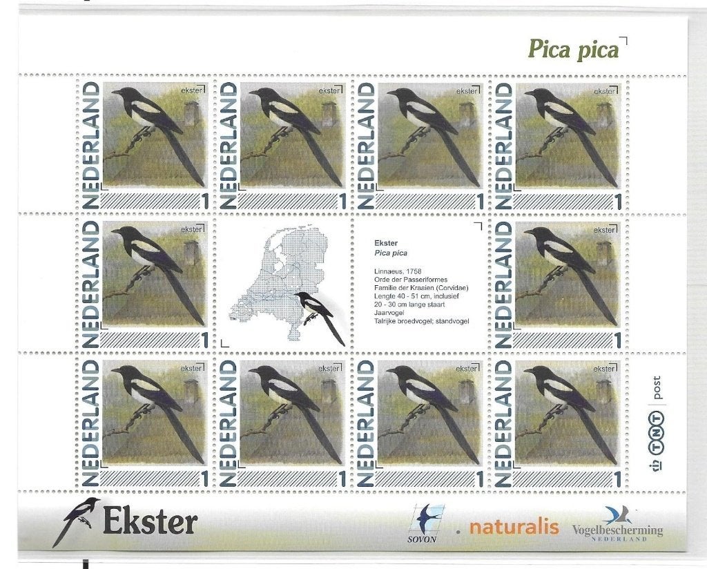 Vel persoonlijke zegels, vogels Ekster postfris, Ophalen of Verzenden, Postfris