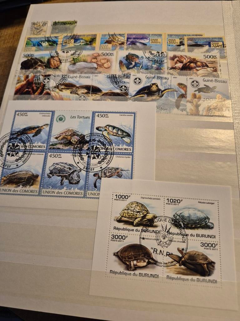 Boek vol dieren postzegels, Postzegels en Munten, Postzegels | Volle albums en Verzamelingen, Ophalen of Verzenden, Buitenland
