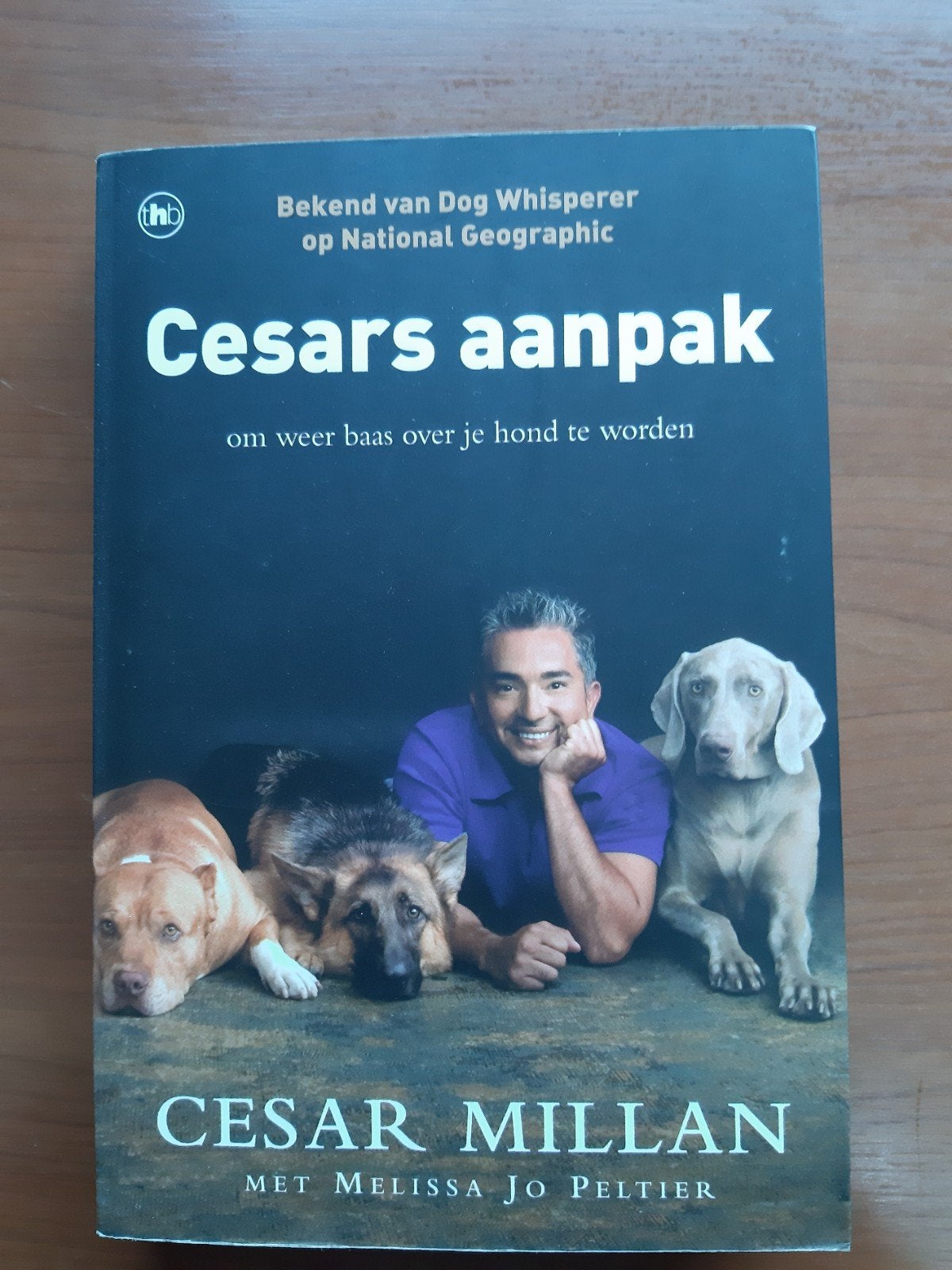 Boeken over honden, 4 stuks, Ophalen of Verzenden, Gelezen, Honden