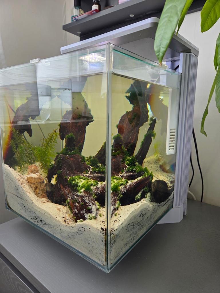 Superfish aquarium QUBIQ 30 PRO, Ophalen, Zo goed als nieuw, Gevuld zoetwateraquarium