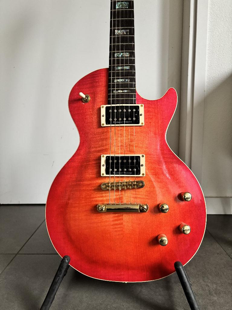 RC Customshop geïnspireerd op een Gibson Les Paul Supreme, Muziek en Instrumenten, Ophalen of Verzenden, Zo goed als nieuw, Semi-solid body