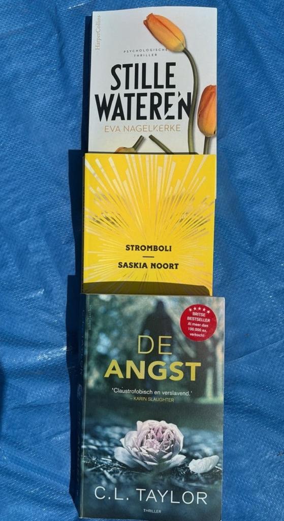 Psychologische thrillers, Ophalen of Verzenden, Zo goed als nieuw, Eva Nagelkerke, Saskia Noort, C.L. Taylor, Nederland