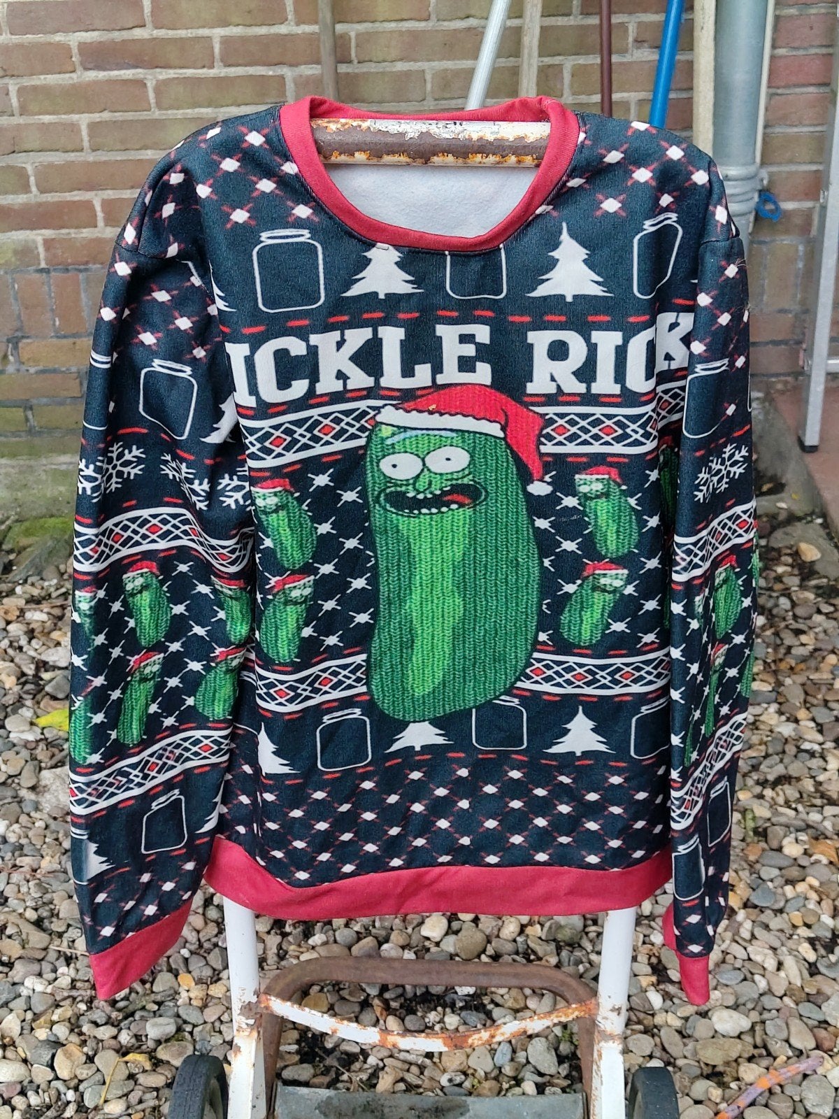 Pickle Rick Trui - Maat L (valt als S), Ophalen of Verzenden, Gedragen, Maat 46 (S) of kleiner, Meerkleurig