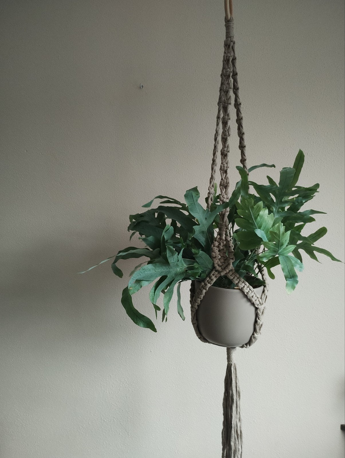 Macramé plantenhanger. Sisters Forever., Beige, Boho, Nieuw, Ophalen of Verzenden