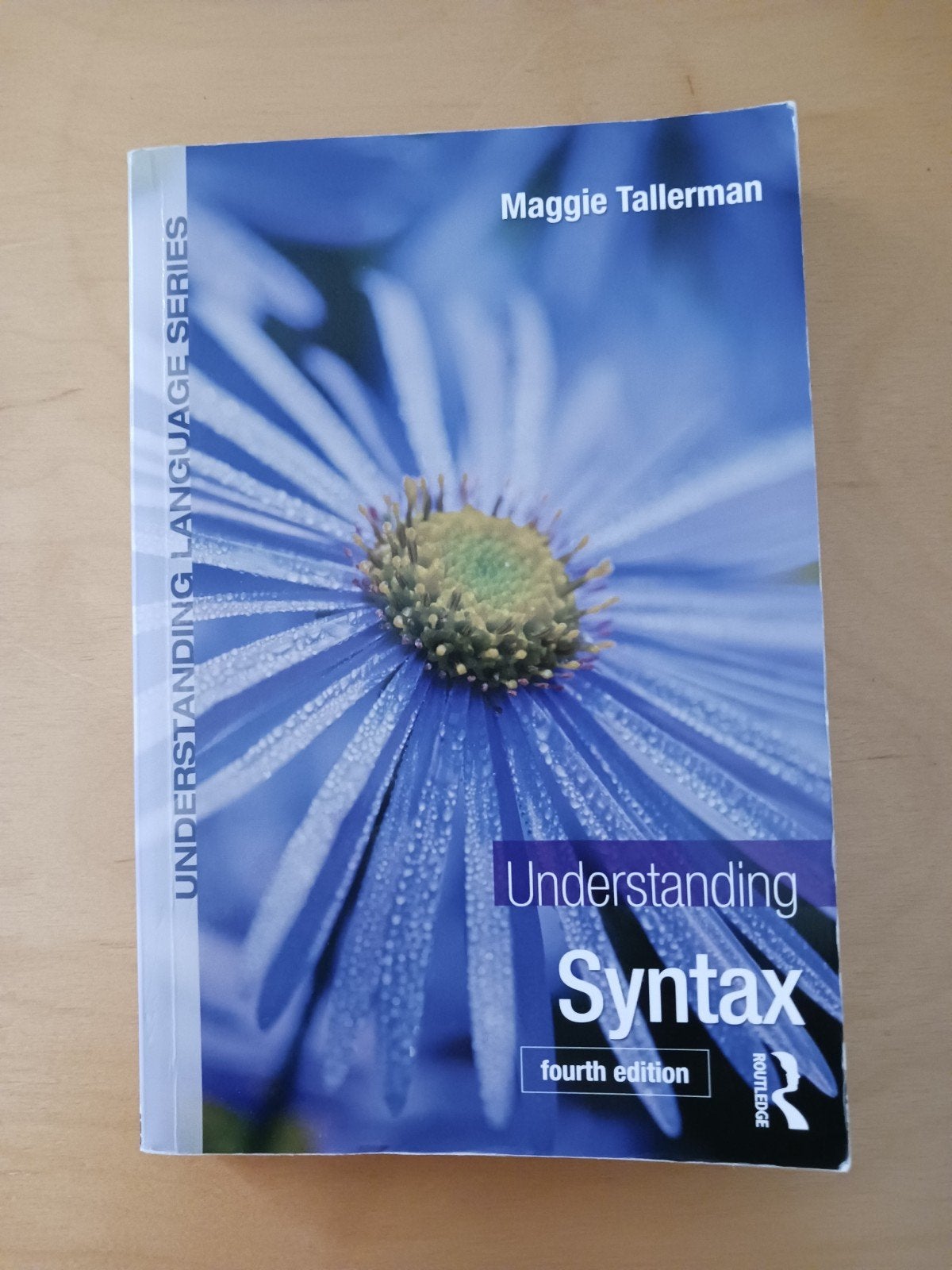 Boek: Understanding syntax, Boeken, Ophalen of Verzenden, Alpha, WO, Maggie Tallerman