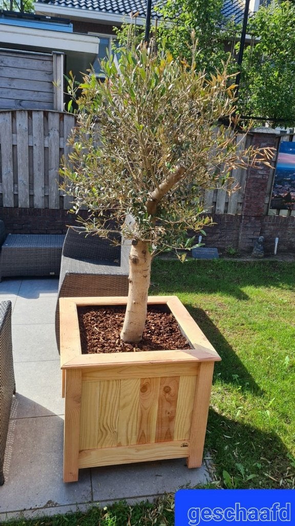 Bloembakken op maat – Douglas- of steigerhout, Tuin en Terras, Vierkant, Nieuw, Ophalen of Verzenden, 60 cm of meer