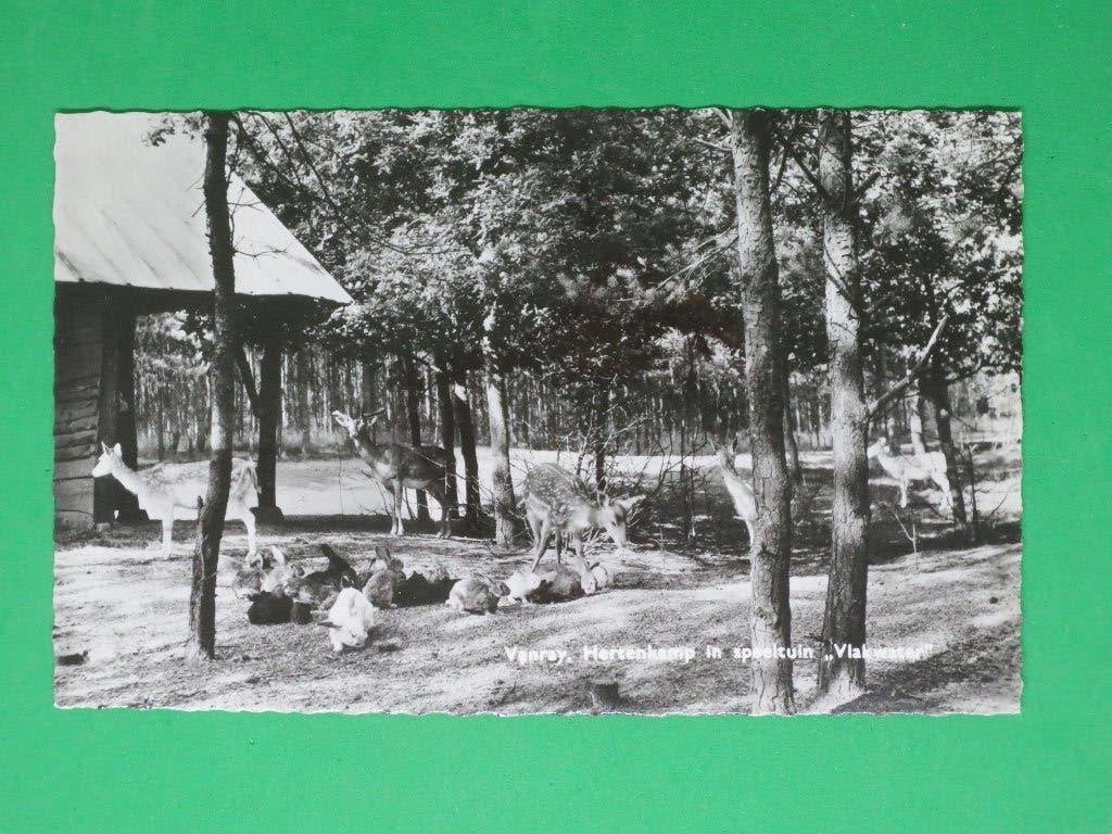 Venray Hertenkamp Vlakwater, Verzenden, 1960 tot 1980, Gelopen, Limburg