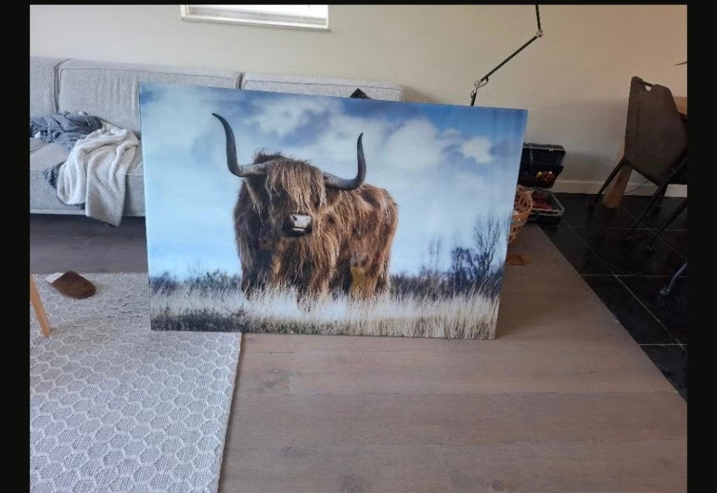 plexiglas foto te koop, Ophalen, Kunststof, Overige technieken, Dieren