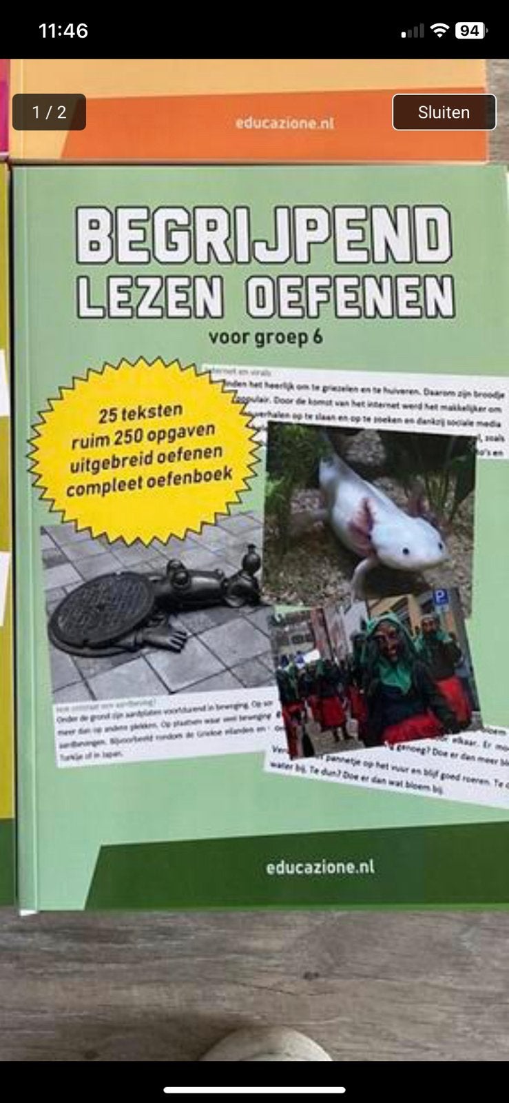 Begrijpend lezen groep 6 oefenen - Cito - Leerling in Beeld, Verzenden, Nieuw, Overige niveaus, Nederlands