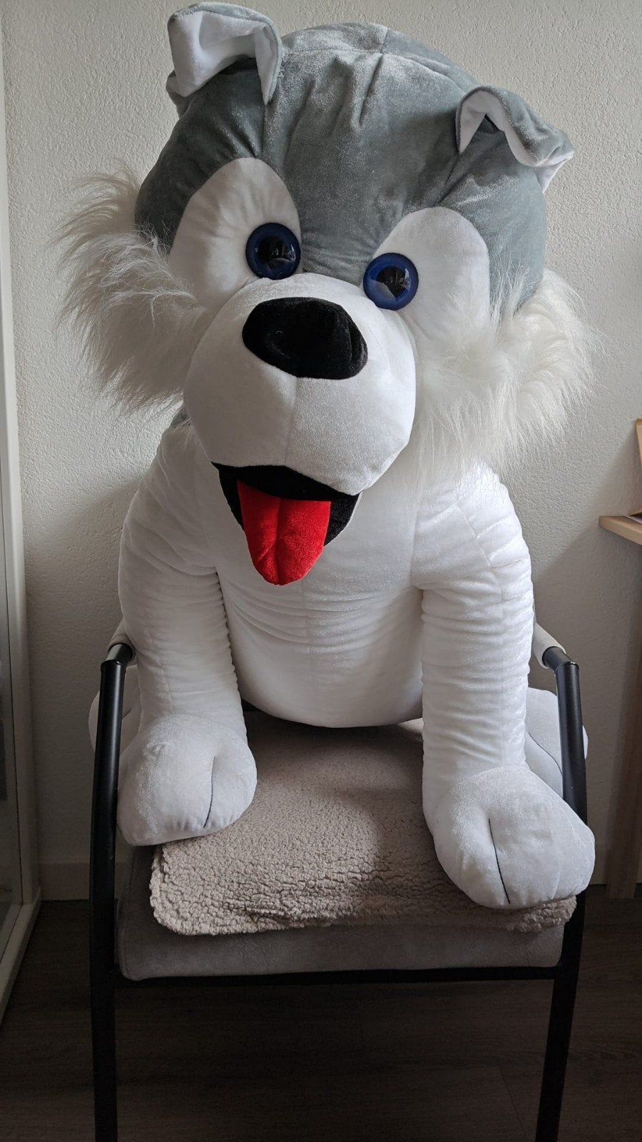 Grote hondenknuffel - Husky, Ophalen, Grijs, Hond, Zo goed als nieuw