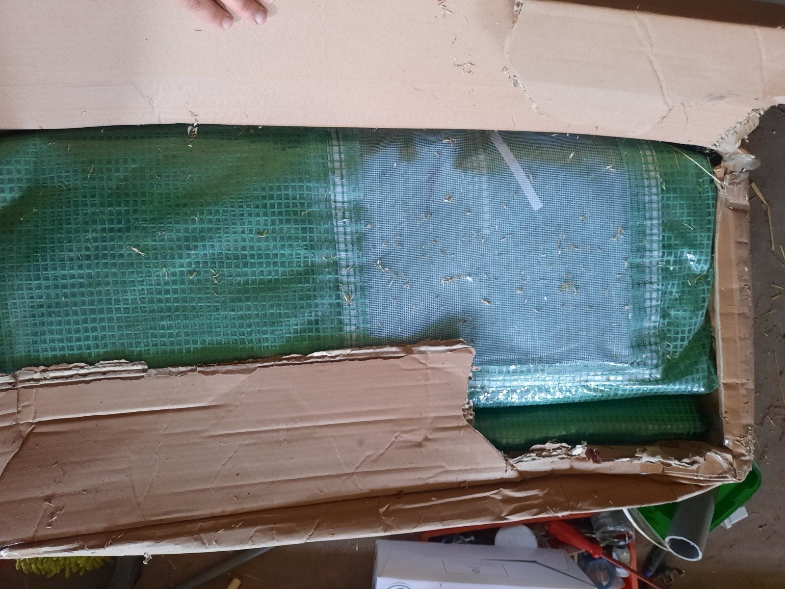 Folie voor tunnelkas, nieuw, 600x400 cm, Ophalen, Nieuw
