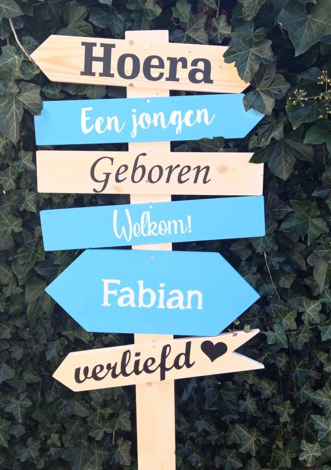 geboorte borden, Ophalen of Verzenden, Nieuw