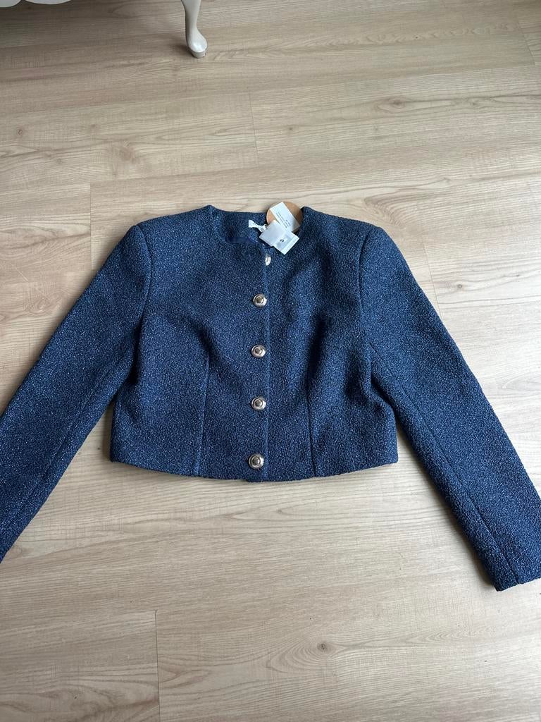 Nieuw Sage and Ivy jasje - Glitter Navy, Kleding | Dames, Jasjes, Kostuums en Pakken, Maat 38/40 (M), Blauw, Nieuw, Ophalen of Verzenden