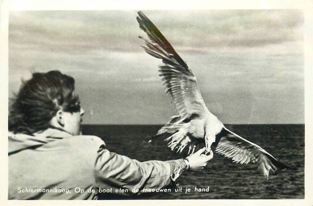 388-479-005 Schiermonnikoog, Verzenden, Voor 1920, Friesland