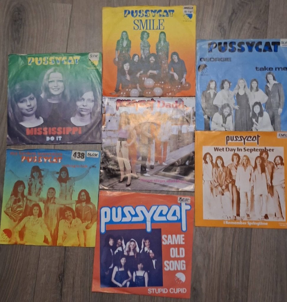 PUSSYCAT, Ophalen of Verzenden, Zo goed als nieuw, Pop