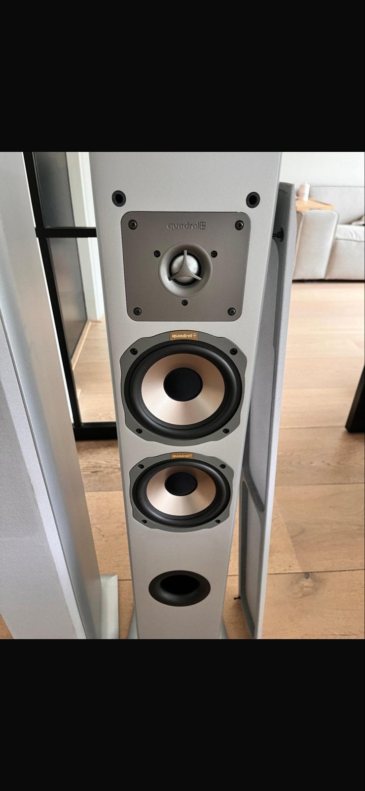 Quadral Ascent 650 Vloerstaande Luidsprekers - Zilver, Vloerstaande luidspreker, Zo goed als nieuw, Basreflex, Ophalen