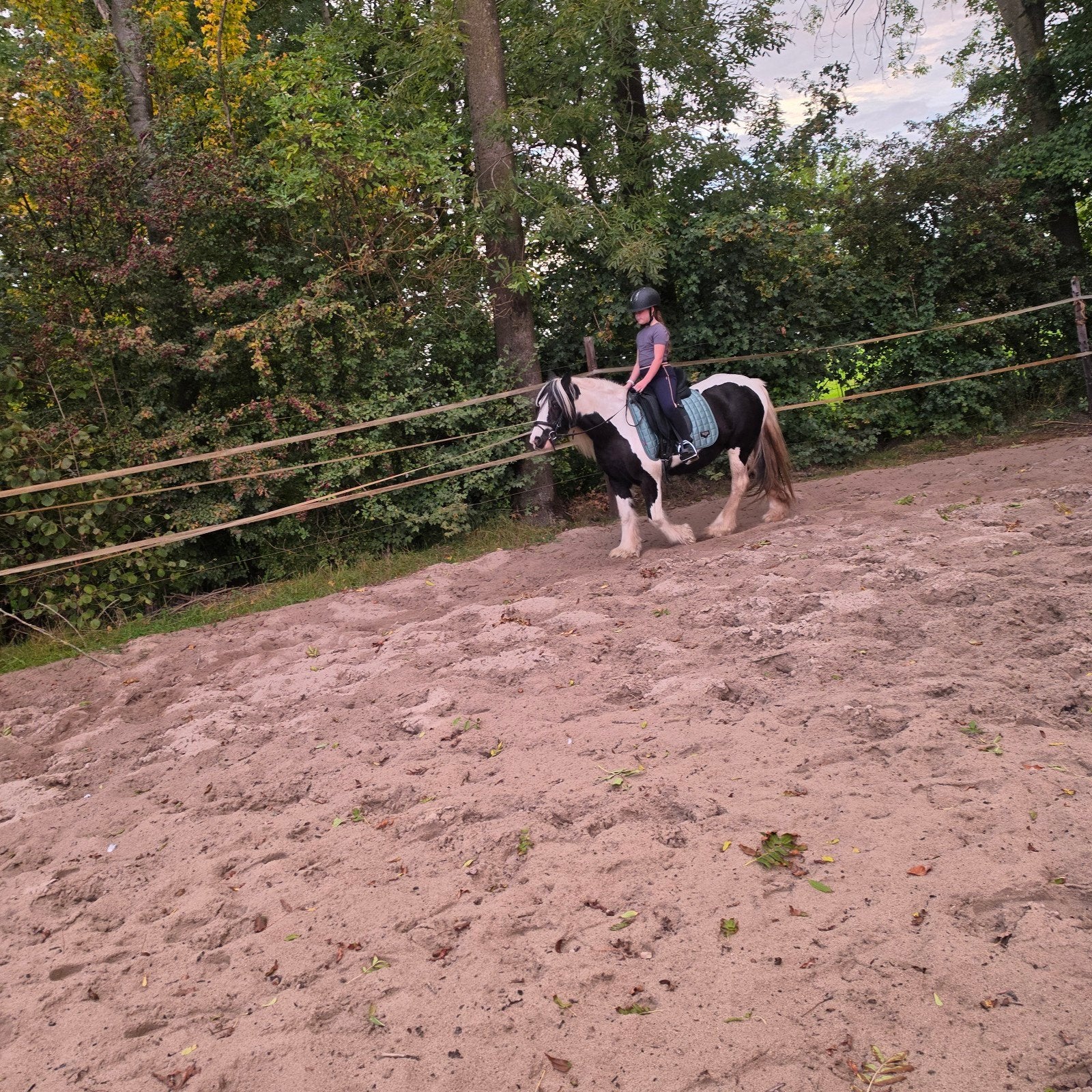 Gezocht Stalling